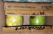 Engineer Ordered Smartphone Online but Claims Got Mangoes